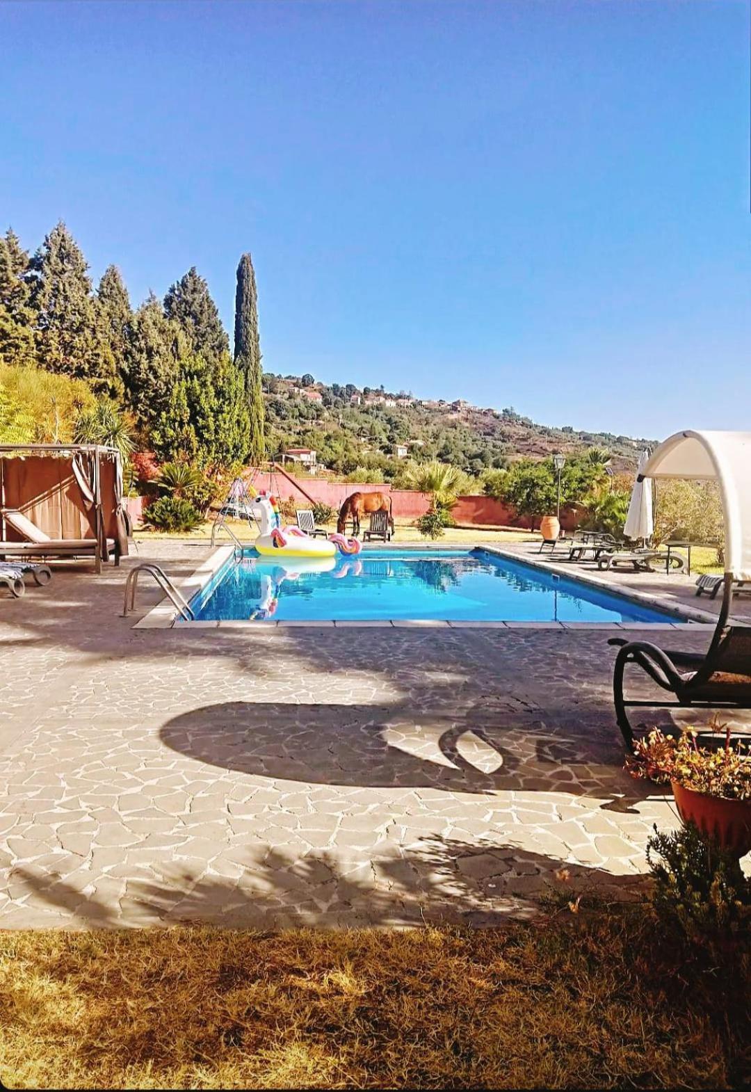 Villa Alessio - Case Vacanza Con Piscina Sull'Etna Puntalazzo Dış mekan fotoğraf